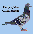 C.J.A.Epping